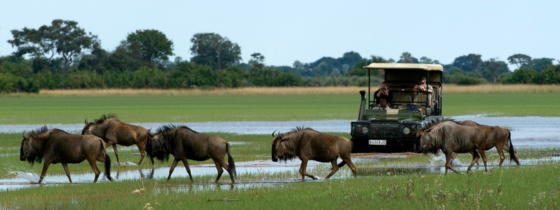 بوتسوانا بلاد الماء والحياة البرية