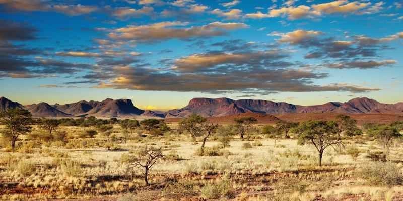 محمية كالاهاري في بوتسوانا