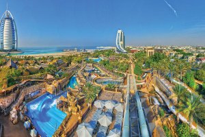 wild wadi