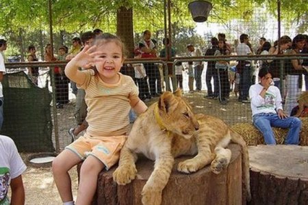 أخطر حديقة حيوان في العالم.. لوجان