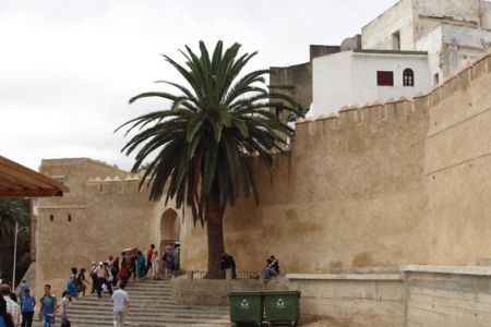 متحف الفنون المغربيّة في طنجة