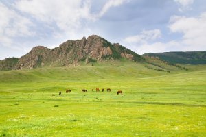 دليل السياحة في منغوليا