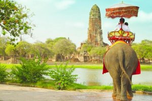 الفيلة وسيلة التنقل الشهيرة في تايلاند