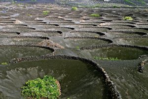 الحدائق السوداء في اسبانيا